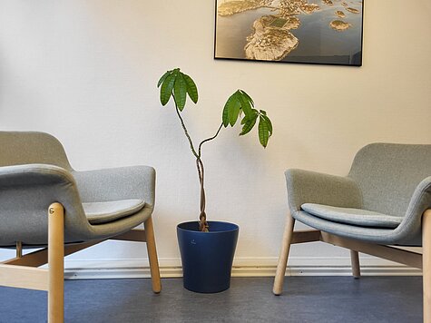 Logo: Beratung und Hilfe für Erwachsene